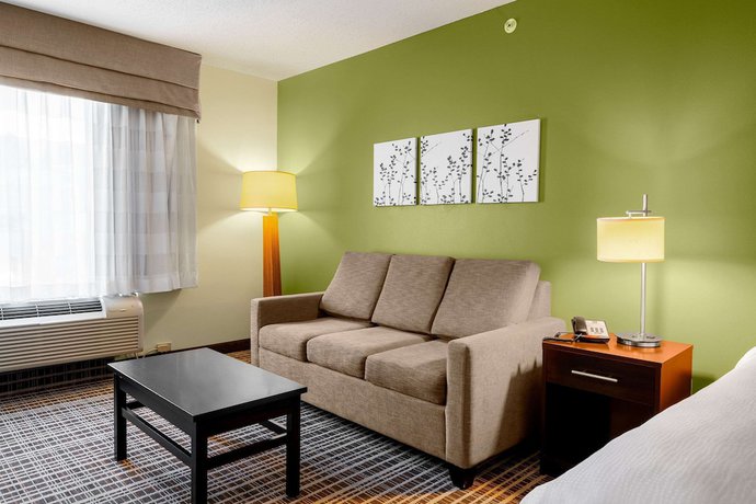 Imagen de la habitación del Hotel Sleep Inn And Suites, Midlothian. Foto 11