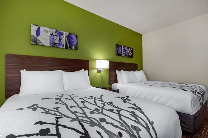 Imagen de la habitación del Hotel Sleep Inn And Suites Tampa South. Foto 3