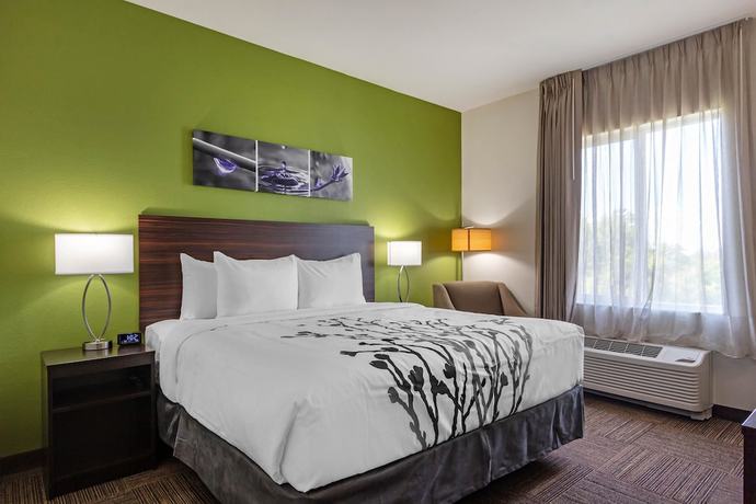 Imagen de la habitación del Hotel Sleep Inn And Suites Tampa South. Foto 6