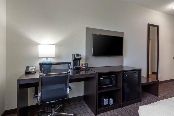 Imagen de la habitación del Hotel Sleep Inn And Suites Tampa South. Foto 7