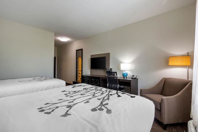 Imagen de la habitación del Hotel Sleep Inn And Suites Tampa South. Foto 8