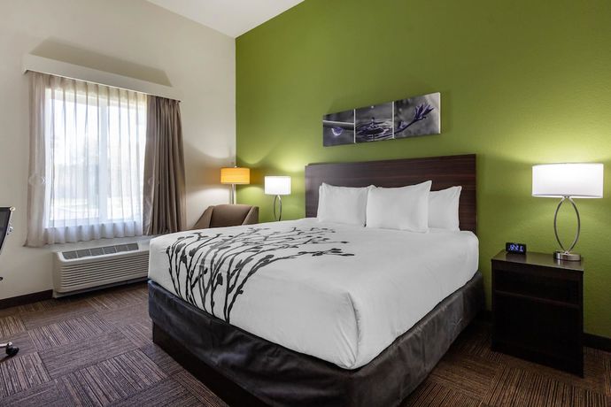 Imagen de la habitación del Hotel Sleep Inn And Suites Tampa South. Foto 11