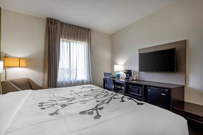 Imagen de la habitación del Hotel Sleep Inn And Suites Tampa South. Foto 13