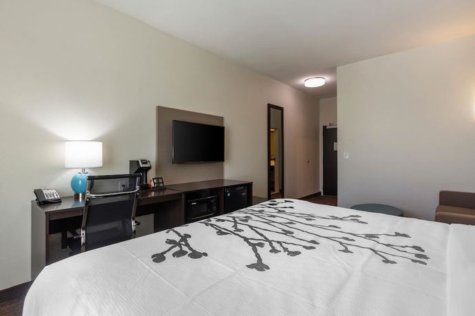 Imagen de la habitación del Hotel Sleep Inn And Suites Tampa South. Foto 14