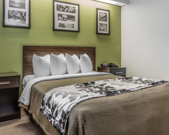 Imagen de la habitación del Hotel Sleep Inn At Greenville Convention Cente. Foto 3