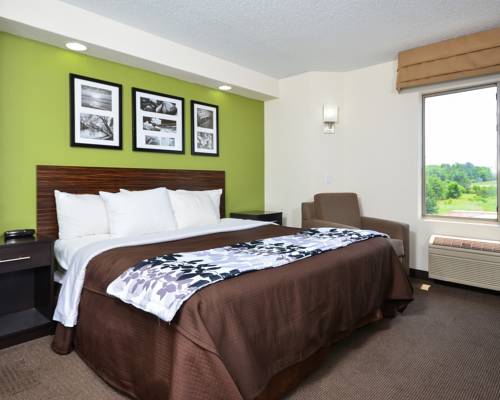 Imagen de la habitación del Hotel Sleep Inn Athens I-65. Foto 4