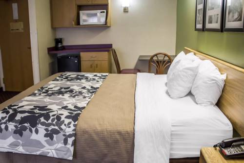 Imagen de la habitación del Hotel Sleep Inn Austintown. Foto 3