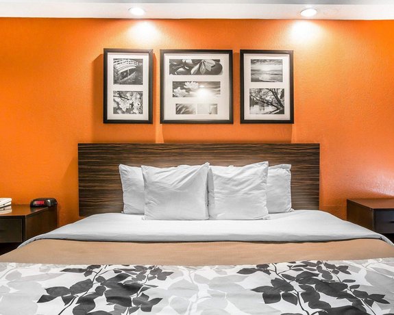 Imagen de la habitación del Hotel Sleep Inn Bessemer Helena. Foto 6