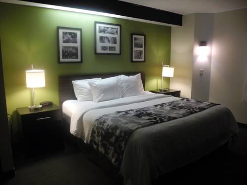 Imagen de la habitación del Hotel Sleep Inn Bracebridge. Foto 3