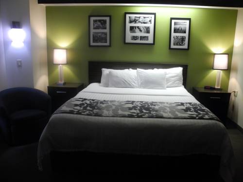 Imagen de la habitación del Hotel Sleep Inn Bracebridge. Foto 4