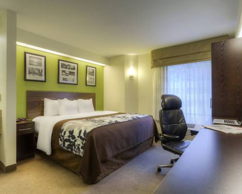 Imagen de la habitación del Hotel Sleep Inn Bryson City Cherokee. Foto 2