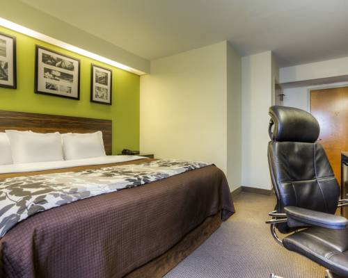 Imagen de la habitación del Hotel Sleep Inn Bryson City Cherokee. Foto 5