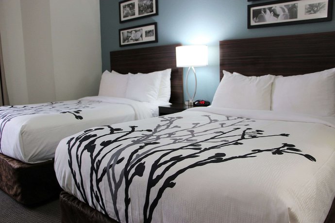 Imagen de la habitación del Hotel Sleep Inn Chattanooga. Foto 6