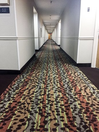 Imagen de los interiores del Hotel Sleep Inn Chattanooga. Foto 17