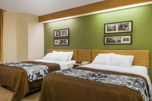 Imagen de la habitación del Hotel Sleep Inn, Elkhart. Foto 4