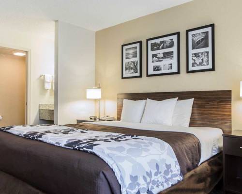 Imagen de la habitación del Hotel Sleep Inn Florence. Foto 6