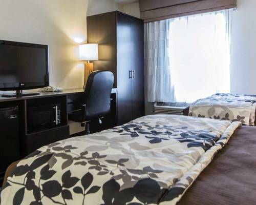 Imagen de la habitación del Hotel Sleep Inn Florence. Foto 9
