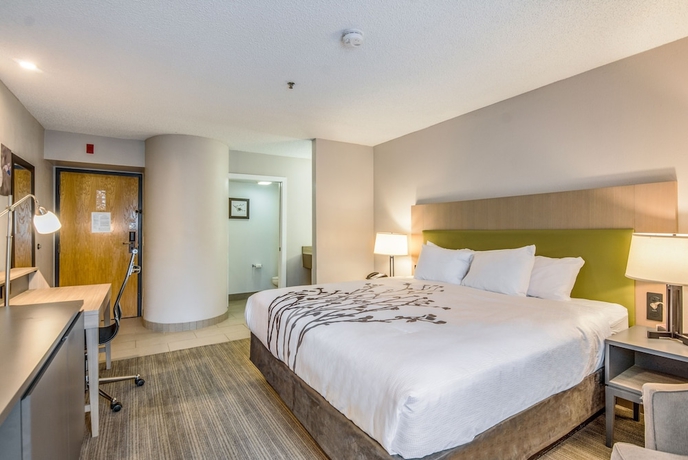 Imagen de la habitación del Hotel Sleep Inn Fort Mill Near Carowinds Blvd. Foto 5