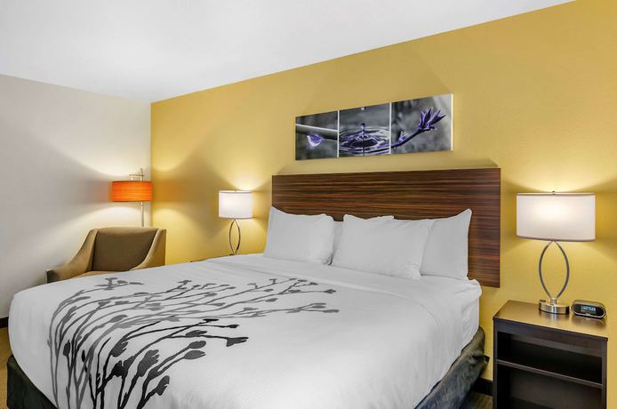 Imagen de la habitación del Hotel Sleep Inn Great Falls Airport. Foto 6
