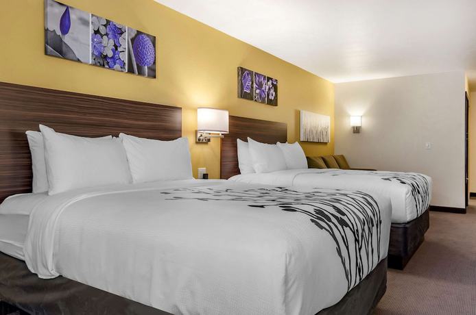 Imagen de la habitación del Hotel Sleep Inn Great Falls Airport. Foto 8