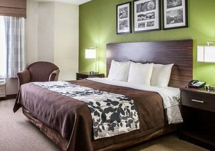 Imagen de la habitación del Hotel Sleep Inn Hanes Mall. Foto 7