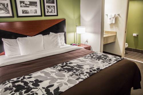 Imagen de la habitación del Hotel Sleep Inn I-95 North Savannah. Foto 4