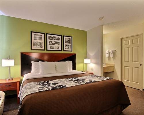 Imagen de la habitación del Hotel Sleep Inn I-95 North Savannah. Foto 5