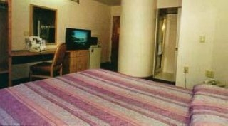 Imagen de la habitación del Hotel Sleep Inn, Jackson. Foto 2