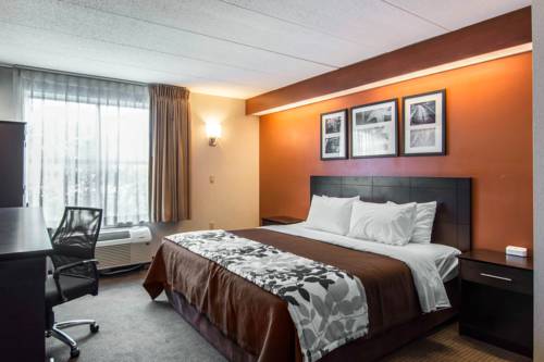 Imagen de la habitación del Hotel Sleep Inn Lake Wright - Norfolk Airport. Foto 6