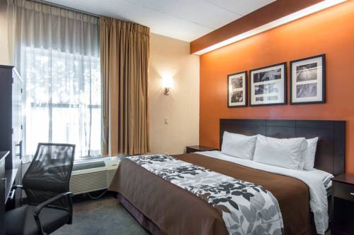 Imagen de la habitación del Hotel Sleep Inn Lake Wright - Norfolk Airport. Foto 7