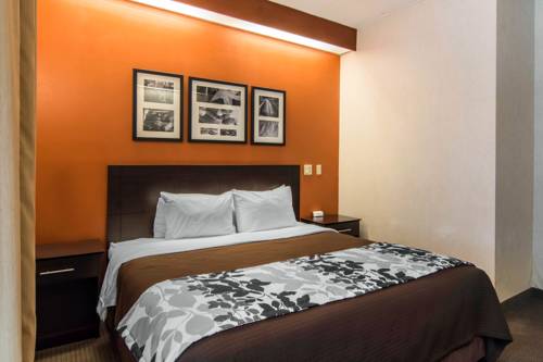 Imagen de la habitación del Hotel Sleep Inn Lake Wright - Norfolk Airport. Foto 8