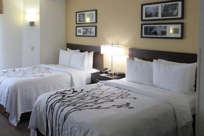 Imagen de la habitación del Hotel Sleep Inn Lexington. Foto 8