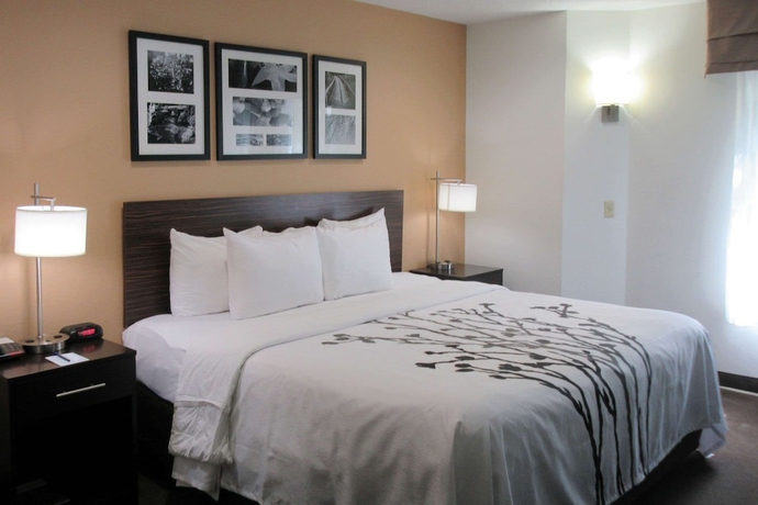 Imagen de la habitación del Hotel Sleep Inn Lexington. Foto 9