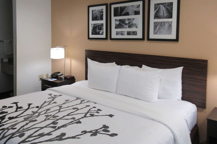 Imagen de la habitación del Hotel Sleep Inn Lexington. Foto 10