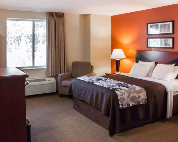 Imagen de la habitación del Hotel Sleep Inn Mt. Pleasant - Charleston. Foto 6