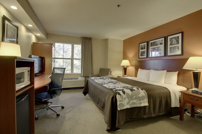 Imagen de la habitación del Hotel Sleep Inn Mt. Pleasant - Charleston. Foto 9