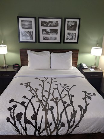 Imagen de la habitación del Hotel Sleep Inn Nampa. Foto 9