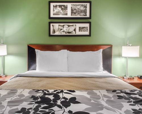 Imagen de la habitación del Hotel Sleep Inn Near Penn State. Foto 6