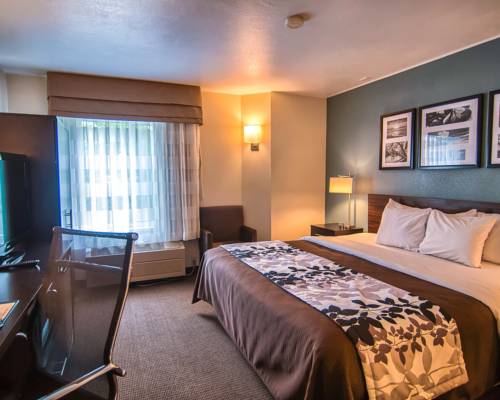 Imagen de la habitación del Hotel Sleep Inn Near Washington State Line. Foto 9