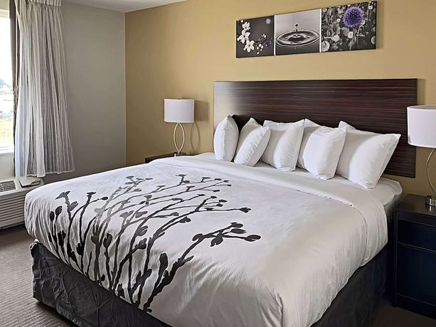 Imagen de la habitación del Hotel Sleep Inn North - Central York. Foto 6