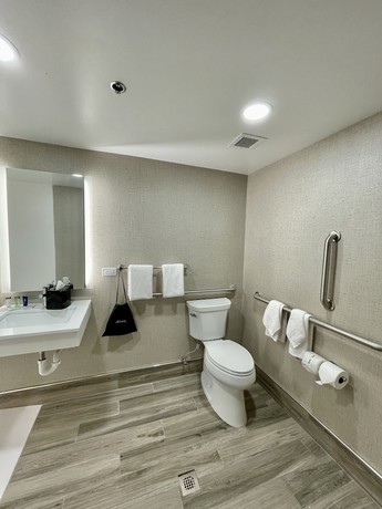 Imagen de la habitación del Hotel Sleep Inn Oakbrook Terrace - Chicago. Foto 8