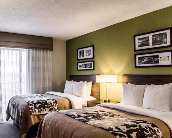 Imagen de la habitación del Hotel Sleep Inn On The Beach. Foto 4