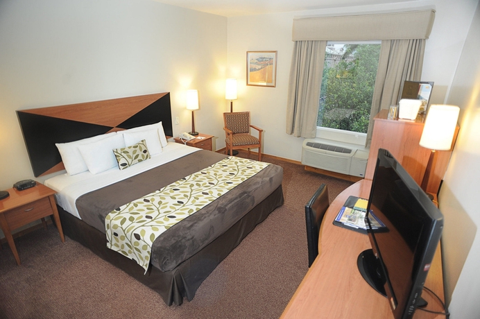 Imagen de la habitación del Hotel Sleep Inn Paseo Las Damas. Foto 5