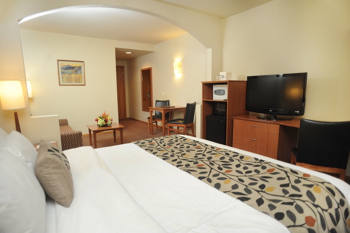 Imagen de la habitación del Hotel Sleep Inn Paseo Las Damas. Foto 10
