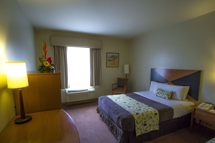 Imagen de la habitación del Hotel Sleep Inn Paseo Las Damas. Foto 11