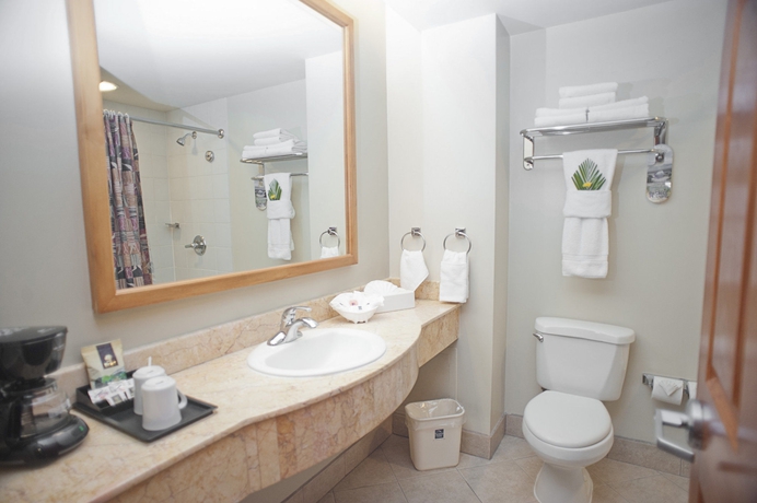 Imagen de la habitación del Hotel Sleep Inn Paseo Las Damas. Foto 12