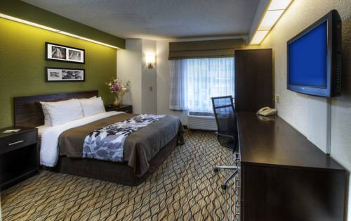 Imagen de la habitación del Hotel Sleep Inn Rockville - Shady Grove. Foto 4