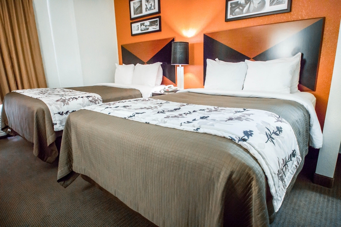Imagen de los interiores del Hotel Sleep Inn Sarasota North. Foto 11