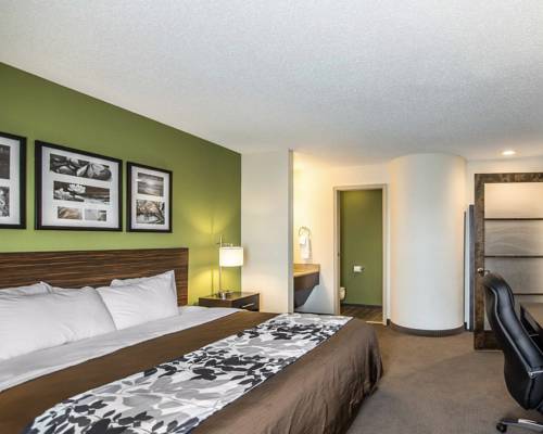 Imagen de la habitación del Hotel Sleep Inn South Joplin. Foto 1