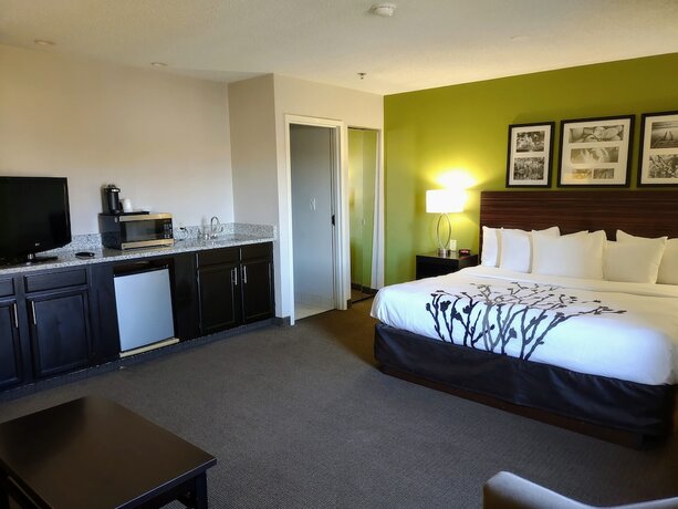 Imagen de la habitación del Hotel Sleep Inn, Southern Gateway. Foto 13